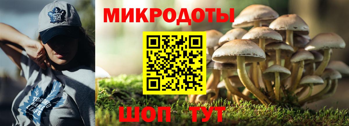 Армавир  Псилоцибиновые грибы Psilocybe  Галлюциногенные грибы прущие грибы  Вход с VPN 