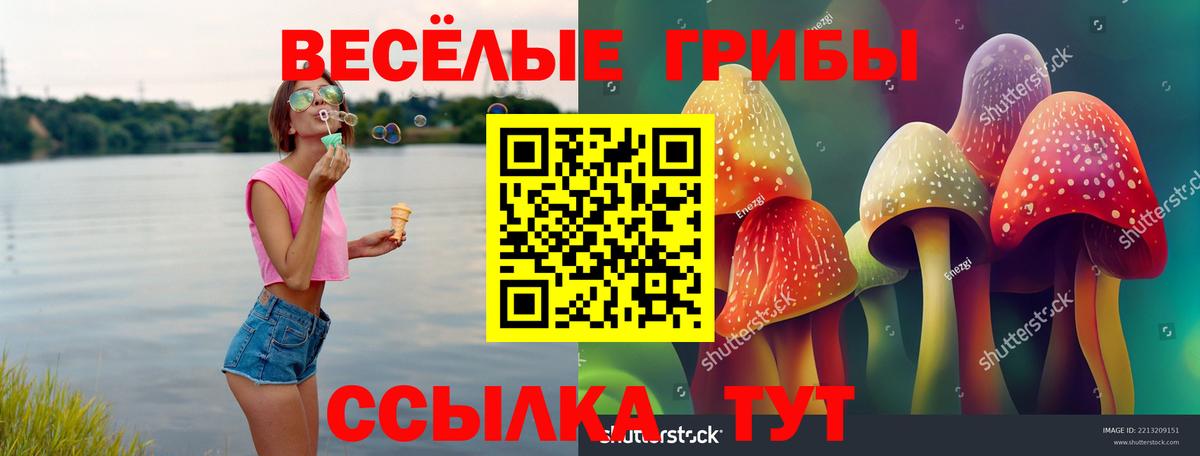 Галлюциногенные грибы ЛСД Армавир